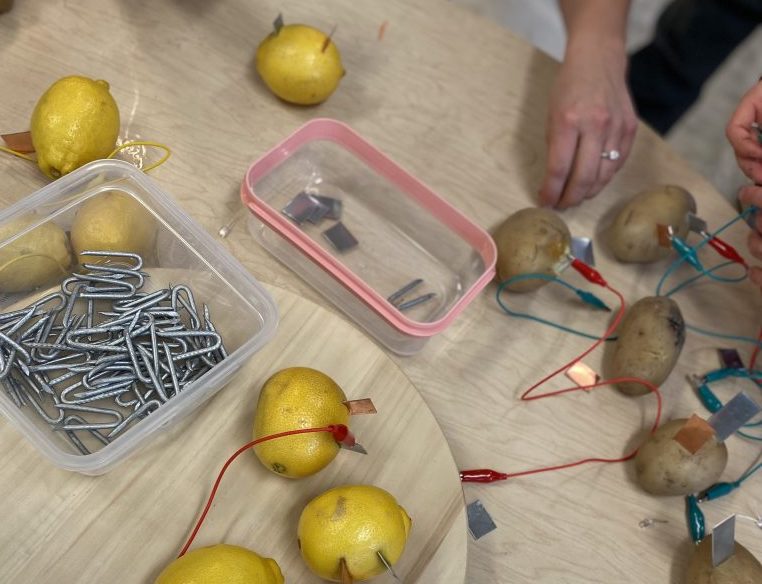 acton1-1 (electrical experiment with lemons and potatoes)