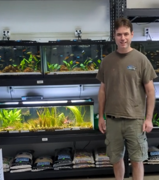 matt by green fish tank
